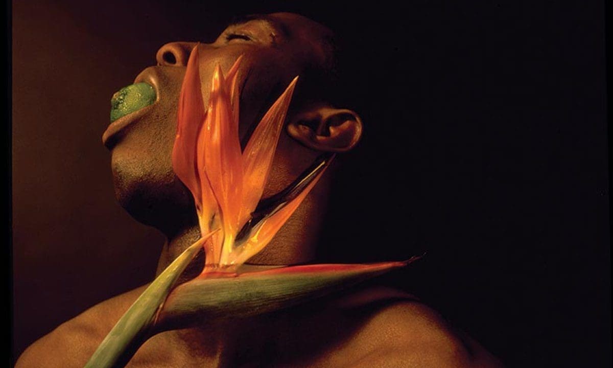 f7033e860a66bbe9b97282a8bf1159ed4ab6b5a5-815x835.jpg A person with an open mouth holds an orange bird of paradise flower close to their face against a dark background, evoking the vibrant essence of a Madagascar exhibition.