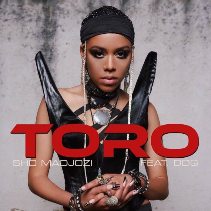 sho-madjozi-toro-2022_11_05_20_40_44-ubetoo.jpg A person with elaborate jewelry and a black headpiece poses against a textured background, where the words "TORO feat. Sho Madjozi and DDG" are prominently displayed in red text.