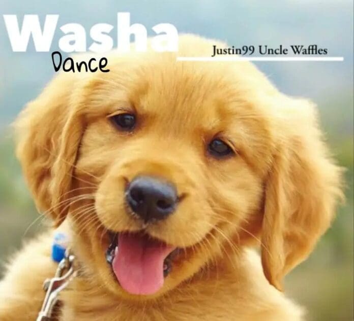 justin99-uncle-waffles-washa-dance-2023_09_21_13_10_06-ubetoo.jpg