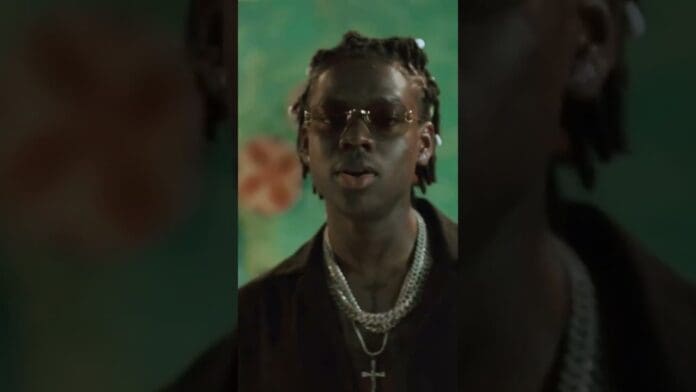 A person wearing sunglasses, layered necklaces, and a dark shirt stands in front of a green background with floral patterns, radiating the stylish energy of Rema’s "Calm Down" featuring Selena Gomez.