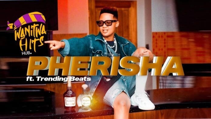 A person in sunglasses and a denim outfit sits on a countertop, pointing, with bottles of alcohol nearby. Text reads "WANTINA HITS HUB. Latest Hit Song 2025: PHERISHA ft. Eemoh & Master KG, Trending Beats.