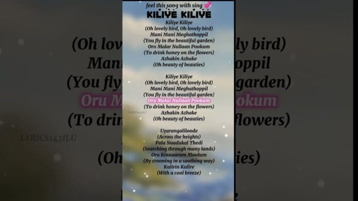 Screenshot of song lyrics with both English transliterations and translations, overlaid on a blurred nature background with text such as "Kiliye Kiliye"—perfect for sharing your Party Vibes or pairing with a Trending Afrobeat Song.