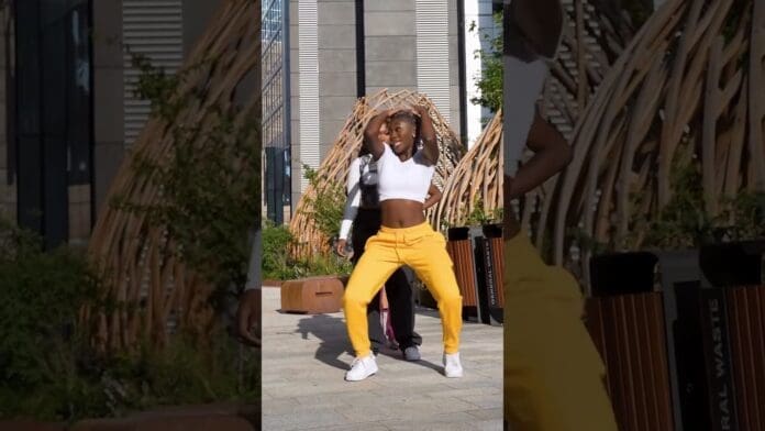 1766255428_maxresdefault.jpg Two people perform a Haitian dance outdoors on a paved area surrounded by plants and wooden structures. The person in front wears a white top and yellow pants.