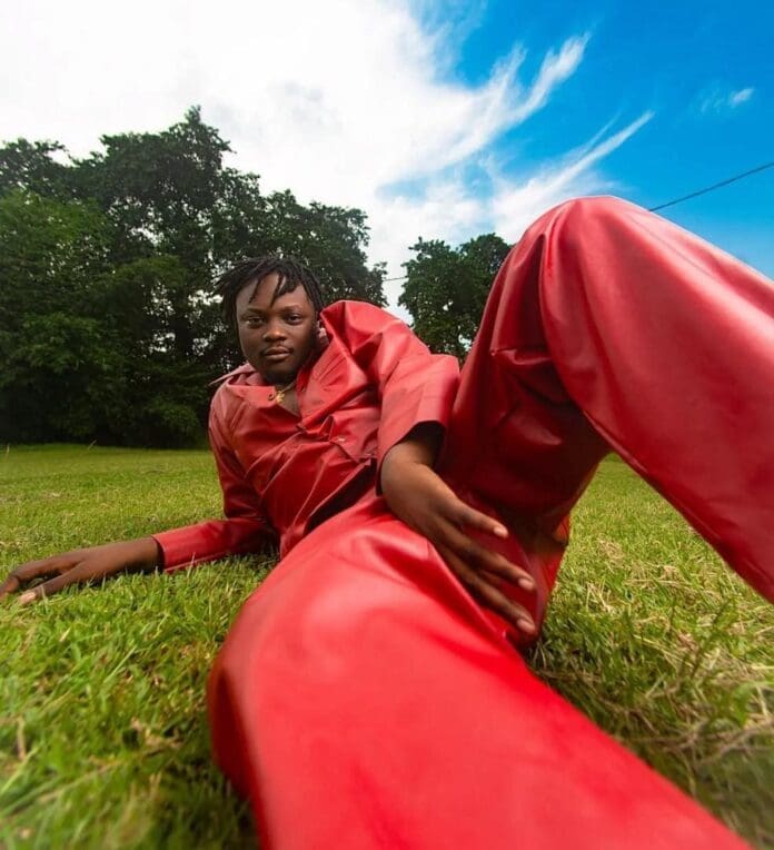 A person in a shiny red outfit reclines on grass, with trees and a blue sky with clouds in the background, capturing carefree Afro-pop vibes, as if ready to "Like to Party" at an Obacino-inspired picnic.