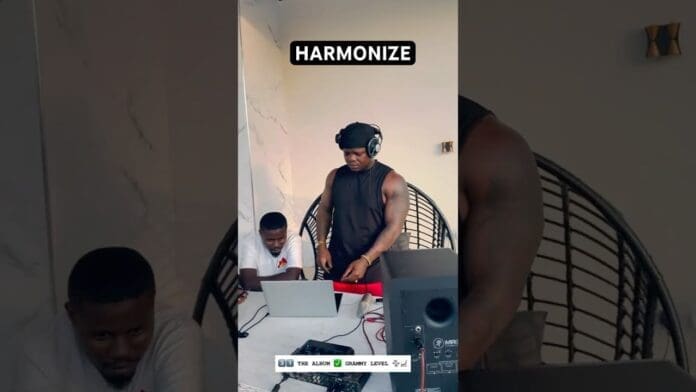 Two people sit and stand at a table with a laptop and audio equipment; one wears headphones and operates the laptop. A caption above reads "HARMONIZE," hinting at work on an album or new Amaliza Wimbo project.