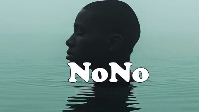 A person’s head emerges from calm water with eyes closed; bold white “NoNo” overlays the image, evoking the smooth rhythm of an Afrobeat Instrumental.