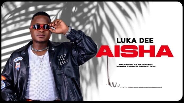 A person in sunglasses and a black jacket poses next to bold text that reads "Lukadee AISHA Love Song 2026," with production credits below on a white background with leaf shadows.