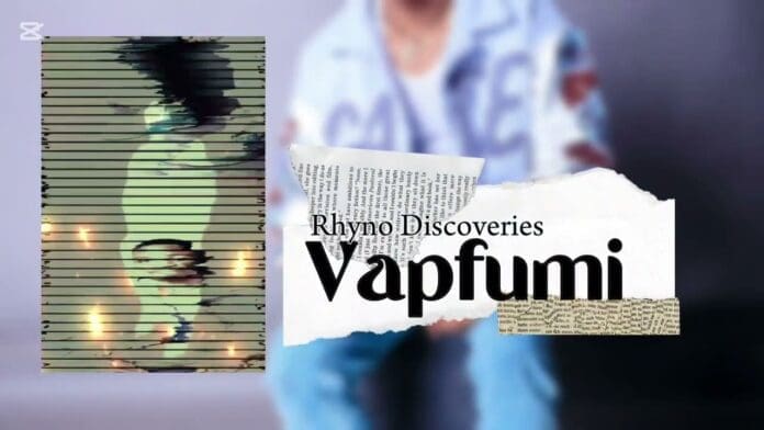 A digital art image with text reading "Rhyno Discoveries Vapfumi," featuring a distorted figure on the left and a partially visible person in casual clothes on the right, referencing the official audio release by Rhyno Discoveries.