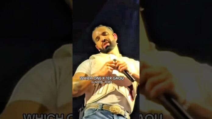 A man with a beard stands on stage holding a microphone, looking downward. Text over the image reads, "WHICH ONE X 1ER GAOU DJ NOON. REMIX." The vibe captures the energy of live music and dance.