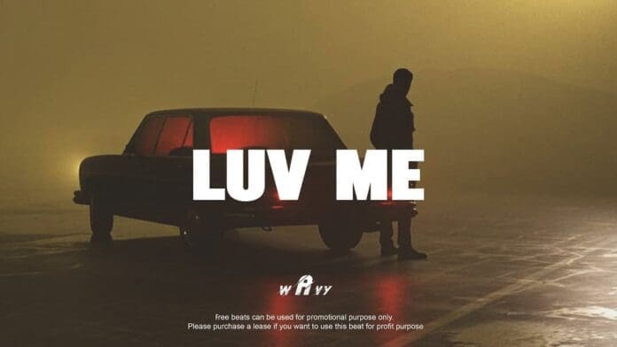 A person stands beside a classic car in a foggy, dimly lit area. Large text reads "LUV ME". Additional small print at the bottom mentions this is an Afrobeat instrumental inspired by Burna Boy type beat usage.