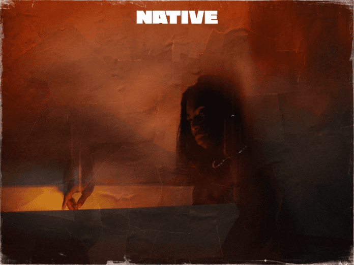 A person partially illuminated by warm light stands in a dim, textured environment with "NATIVE" in bold white letters at the top, evoking the vibrant energy of Eko and capturing the spirit of FOLA's Best New Music.