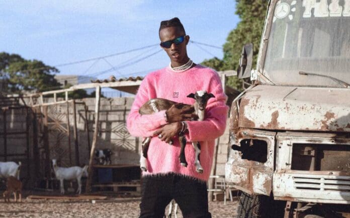 A person wearing a bright pink sweater and sunglasses stands beside a rusty vehicle, holding a baby goat, with other goats and a wooden structure visible in the background, where children are playing nearby.