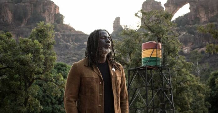 A man with dreadlocks, known for his involvement in Pan African music, standing in front of a mountain.